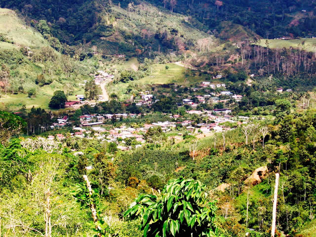 Tuis, Turrialba